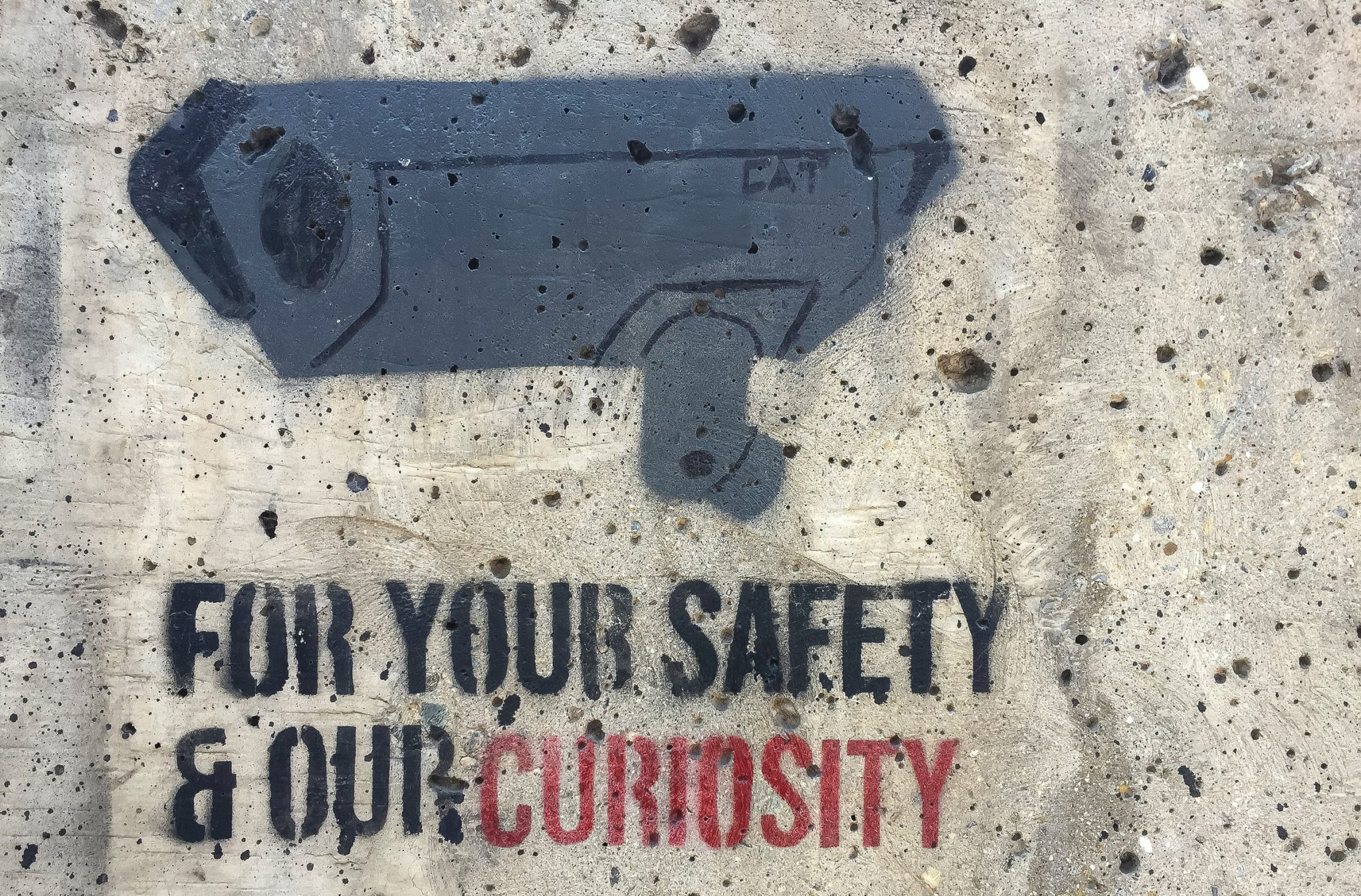 For Your Safety & Our Curiosity